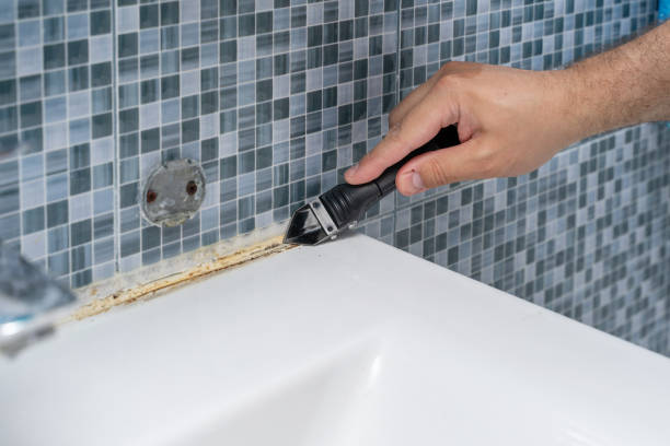 Best White Mold Remediation in West Allis, WI