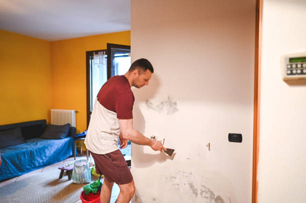 Best Basement Mold Remediation in West Allis, WI