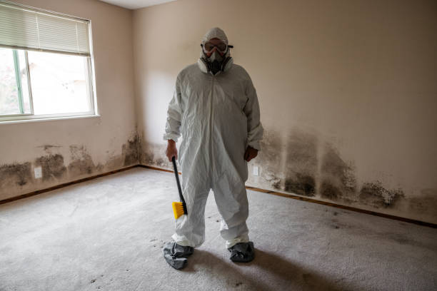 Best Residential Mold Remediation in West Allis, WI